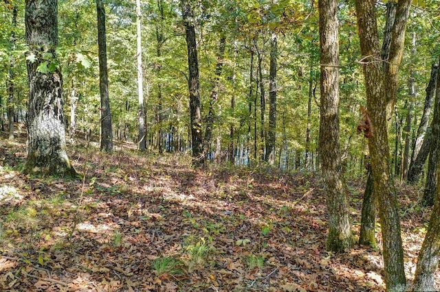 LOT45 Alava Way, Hot Springs Village AR, 71909 land for sale