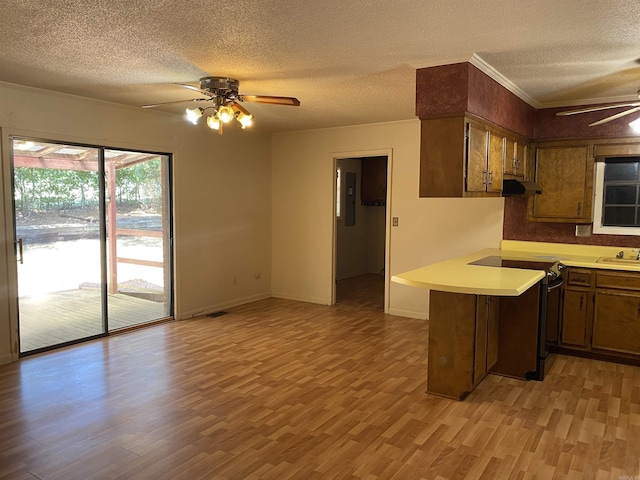 kitchen featuring light countertops, electric stove, light wood-style floors, a ceiling fan, and a sink