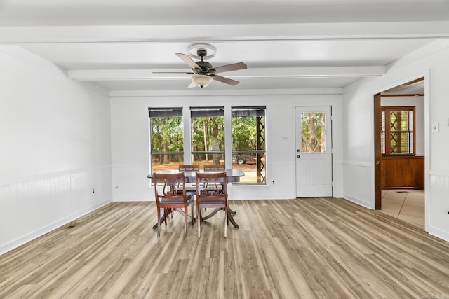 unfurnished dining area featuring ceiling fan, light hardwood / wood-style floors, and a healthy amount of sunlight