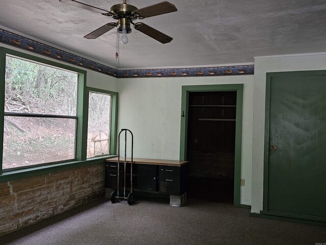 miscellaneous room with a textured ceiling, ceiling fan, and carpet