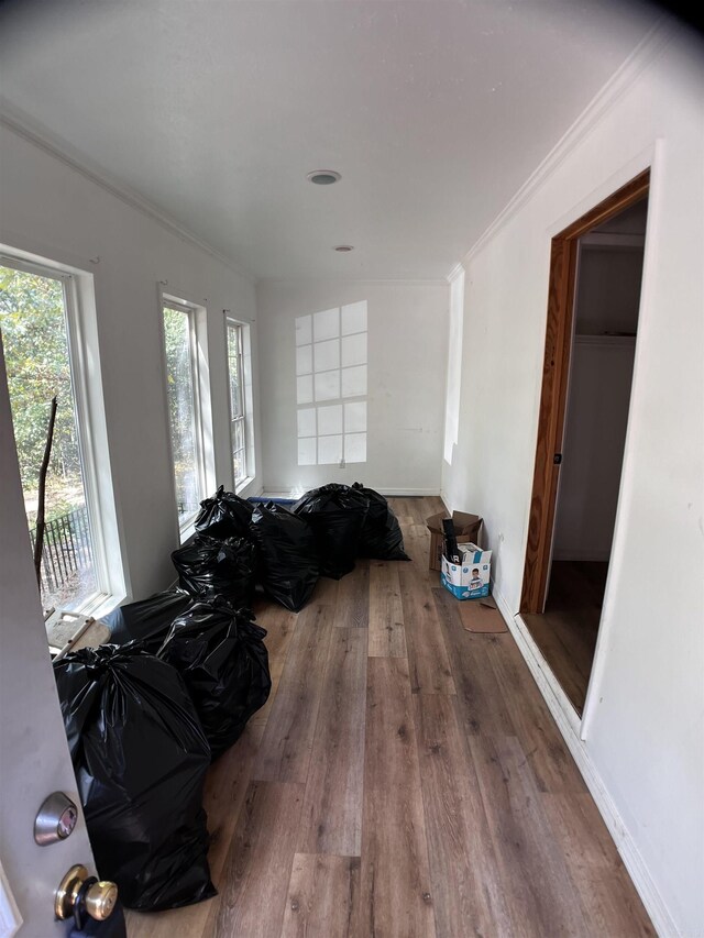 corridor featuring wood-type flooring and crown molding