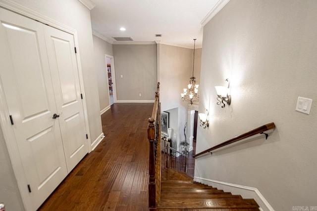 corridor with dark wood-type flooring, an inviting chandelier, and ornamental molding