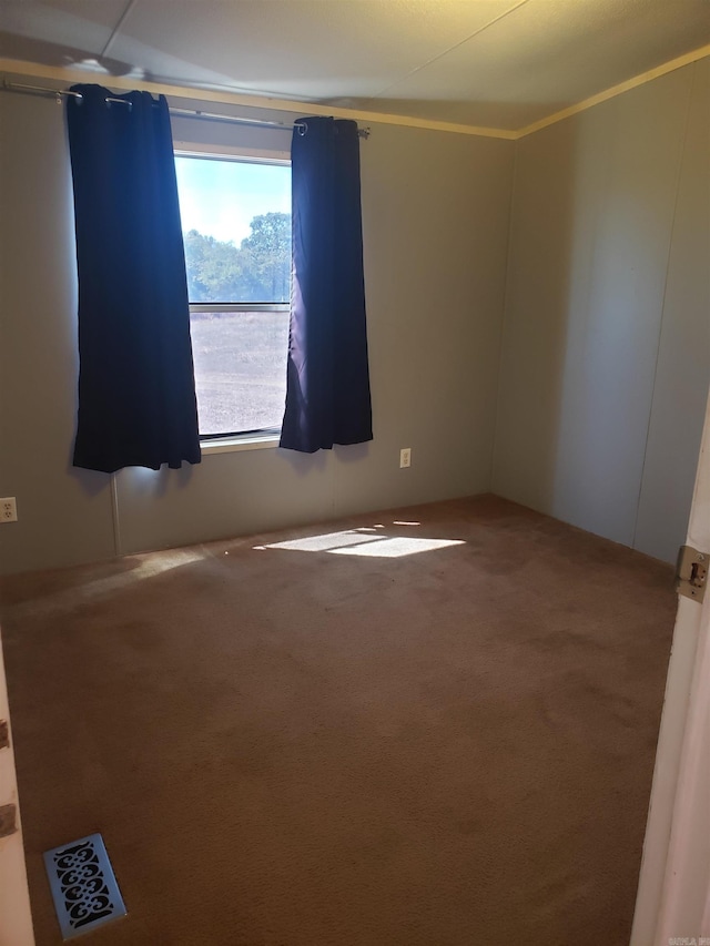 carpeted empty room featuring crown molding