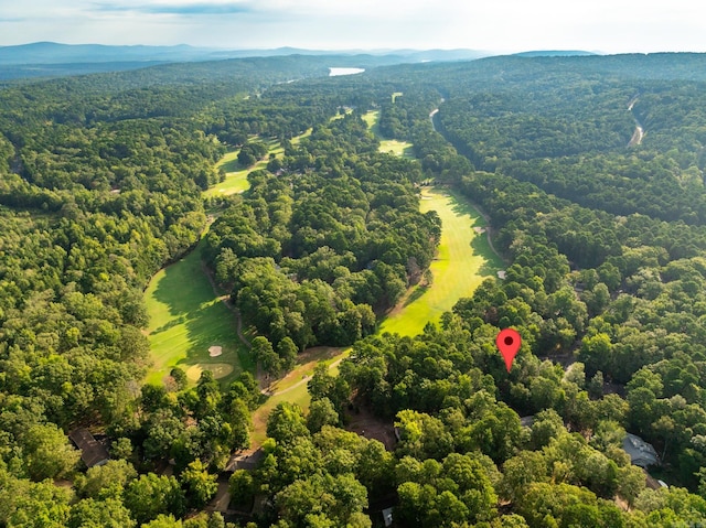 X Castillo Ln, Hot Springs Village AR, 71909 land for sale