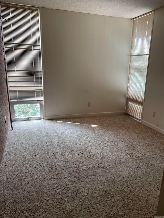 spare room featuring a textured ceiling and carpet flooring