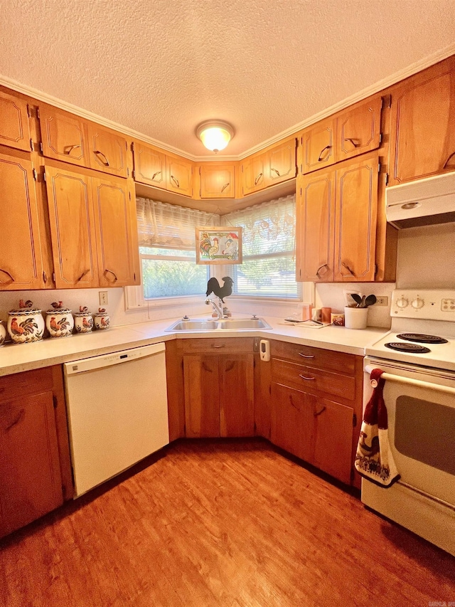 kitchen with white appliances, light wood-style flooring, a sink, light countertops, and under cabinet range hood