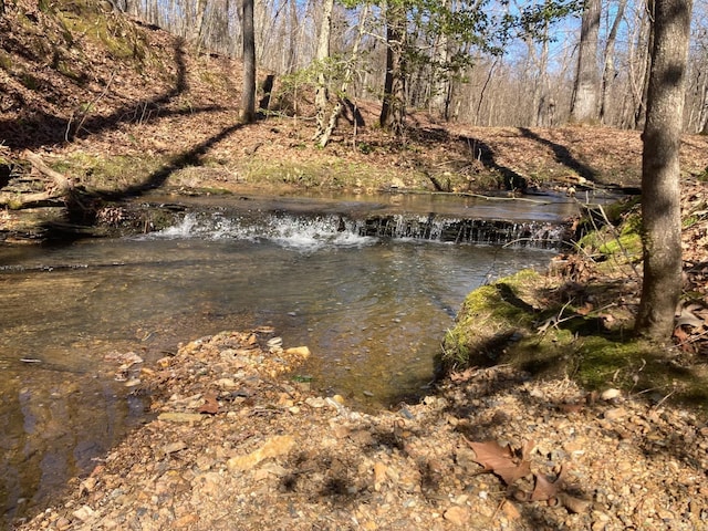 view of water feature