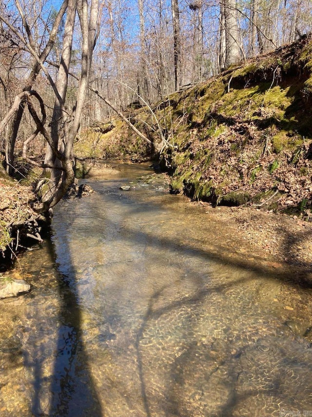 view of nature