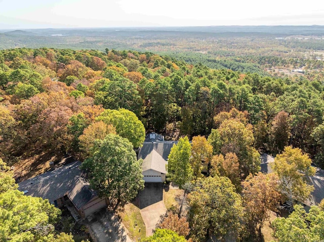 bird's eye view with a forest view