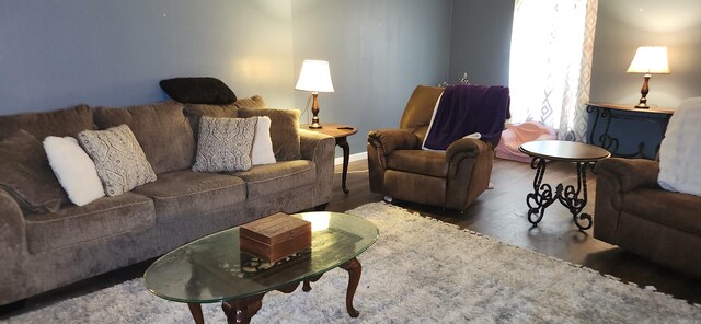 living room with hardwood / wood-style flooring