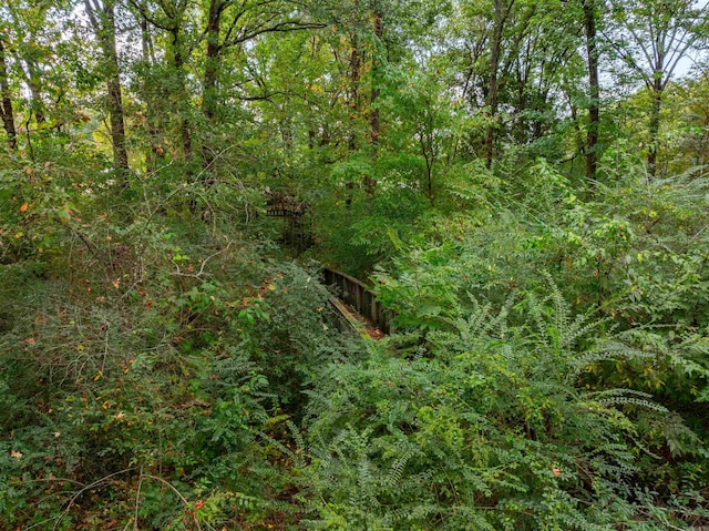 view of local wilderness