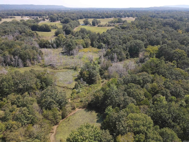 577 Day Rd, Pottsville AR, 72858 land for sale