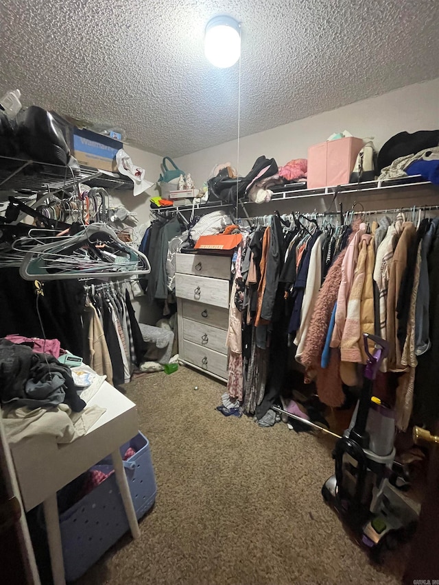 spacious closet with carpet