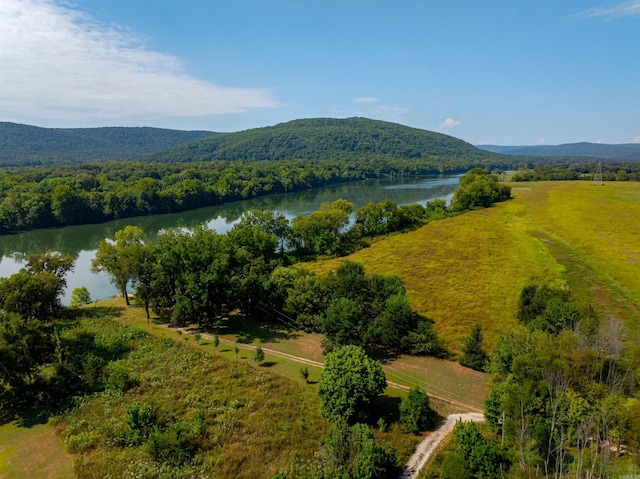 birds eye view of property featuring a water and mountain view