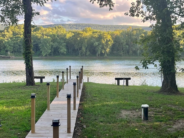 dock area with a water view