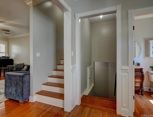 stairway featuring crown molding, hardwood / wood-style flooring, and ceiling fan