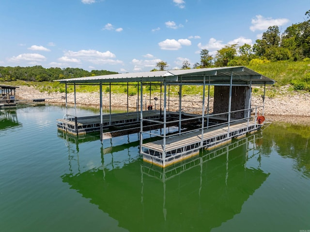 dock area with a water view