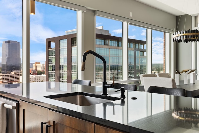 kitchen with dishwasher, a healthy amount of sunlight, and sink