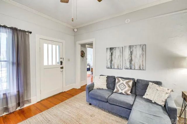 living room with light hardwood / wood-style flooring, ceiling fan, and ornamental molding