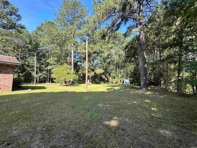 view of yard with a shed