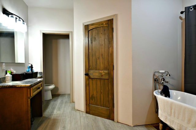 bathroom featuring vanity, toilet, and wood-type flooring