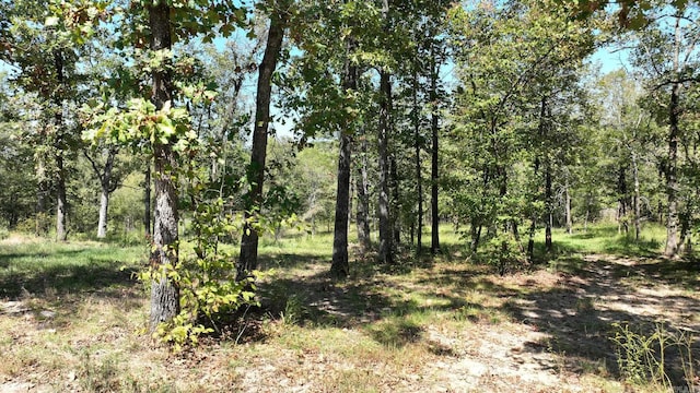 view of local wilderness