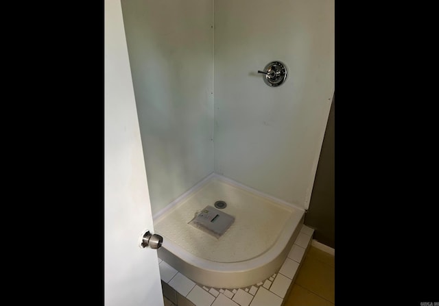 bathroom featuring tile patterned flooring and walk in shower