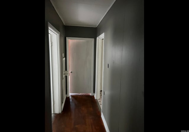 hall featuring dark hardwood / wood-style floors and ornamental molding