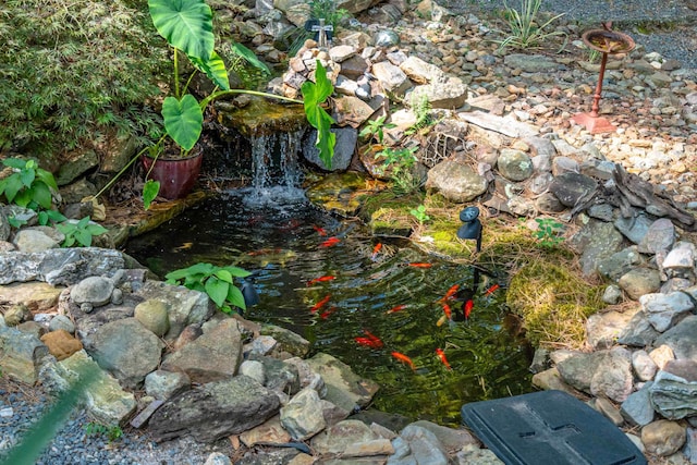 details featuring a small pond