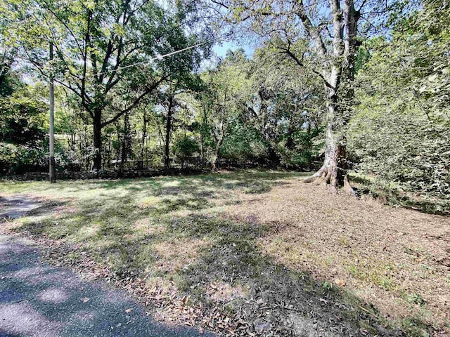 Listing photo 3 for 000 Bloom St, Hot Springs AR 71901