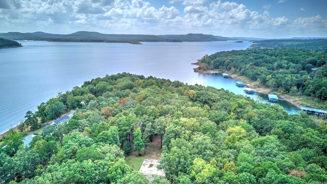 drone / aerial view featuring a water and mountain view