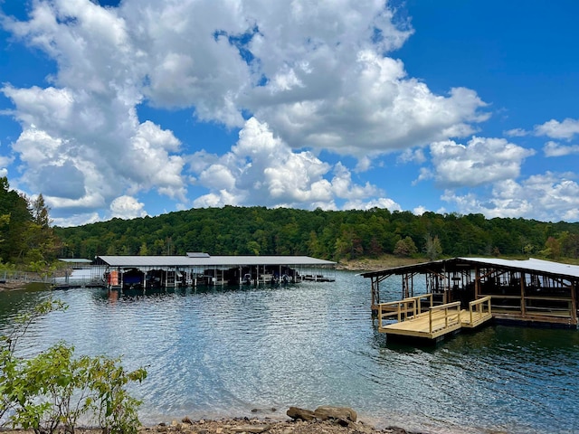 dock area with a water view