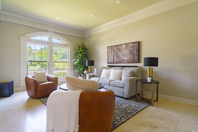 living room with crown molding