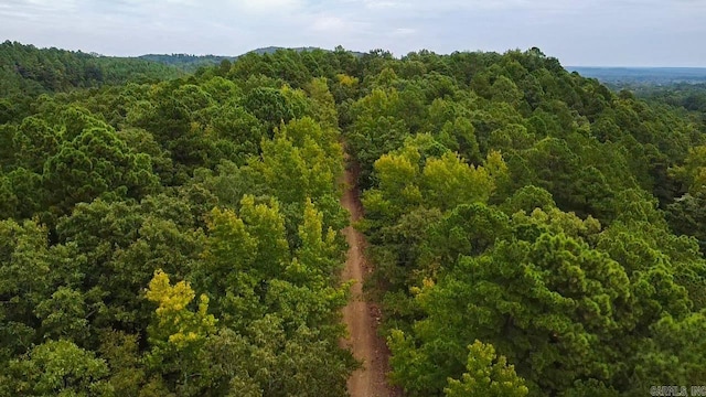 0000 Camden Ln, Amity AR, 71921 land for sale