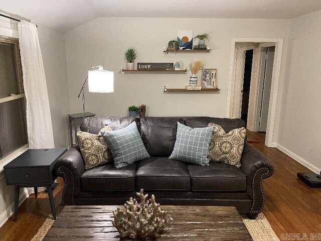 living room featuring lofted ceiling and wood-type flooring