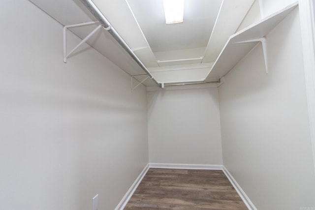 spacious closet featuring dark hardwood / wood-style flooring