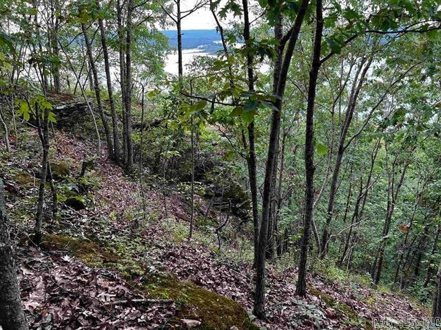 LOT39 Bluff View Dr, Quitman AR, 72131 land for sale