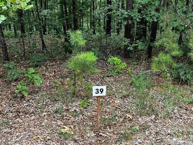 Listing photo 2 for LOT39 Bluff View Dr, Quitman AR 72131