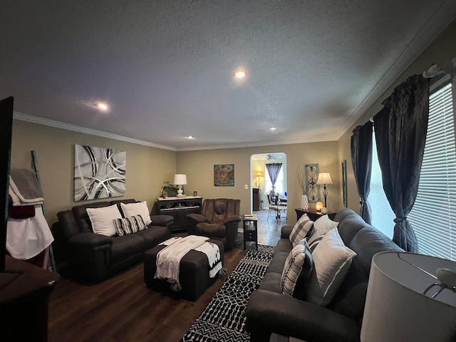 living room featuring a textured ceiling, a healthy amount of sunlight, ornamental molding, and wood-type flooring