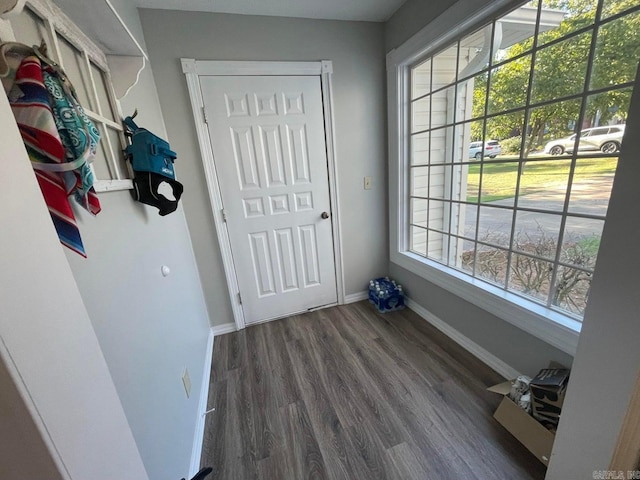 doorway to outside with dark hardwood / wood-style flooring