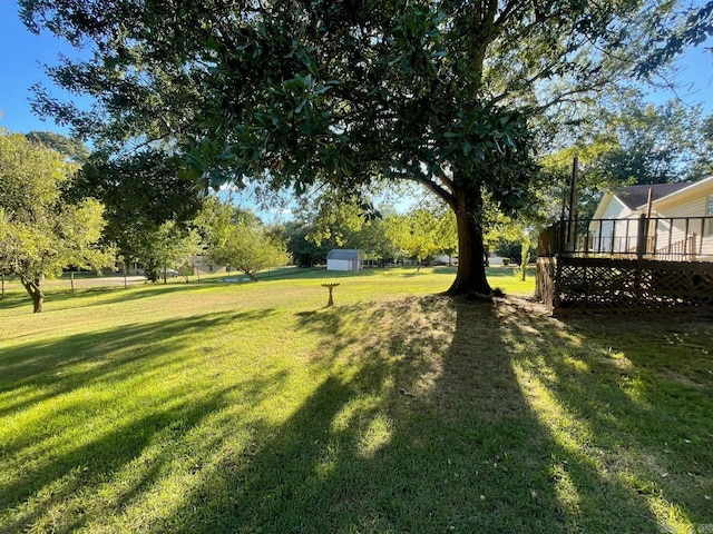 view of yard with a wooden deck and a shed