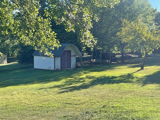 view of yard featuring a storage shed