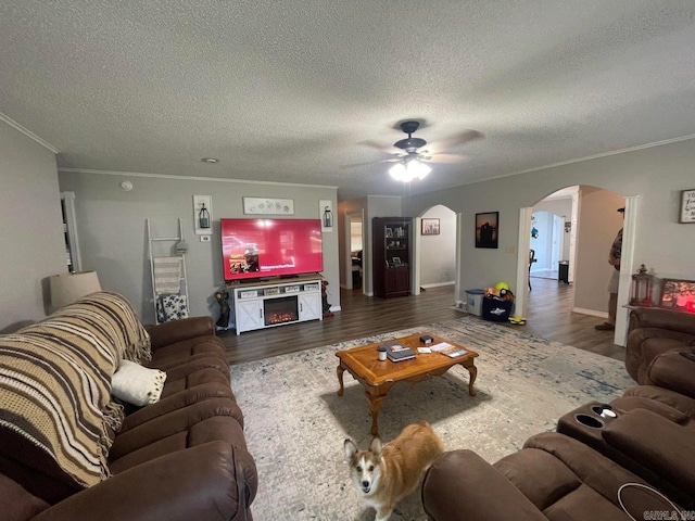 living room with a textured ceiling, dark wood-type flooring, ceiling fan, and ornamental molding