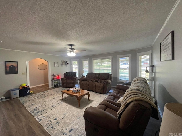 living room featuring hardwood / wood-style floors, ceiling fan, crown molding, and a textured ceiling