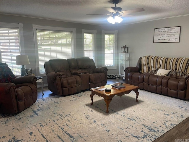 living room featuring a textured ceiling, crown molding, ceiling fan, and hardwood / wood-style flooring