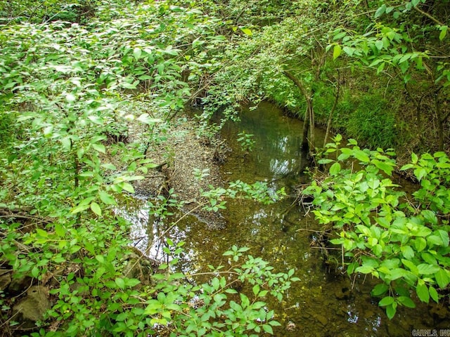 view of local wilderness with a water view