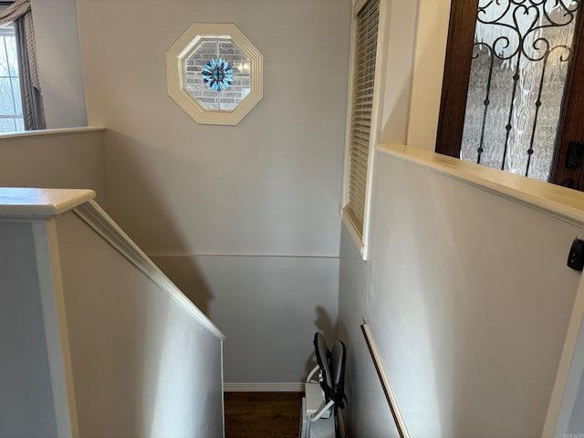 staircase with hardwood / wood-style flooring