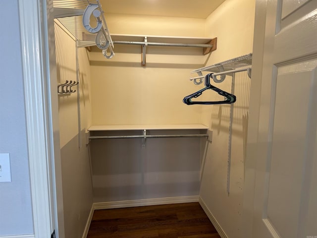 spacious closet with dark hardwood / wood-style floors