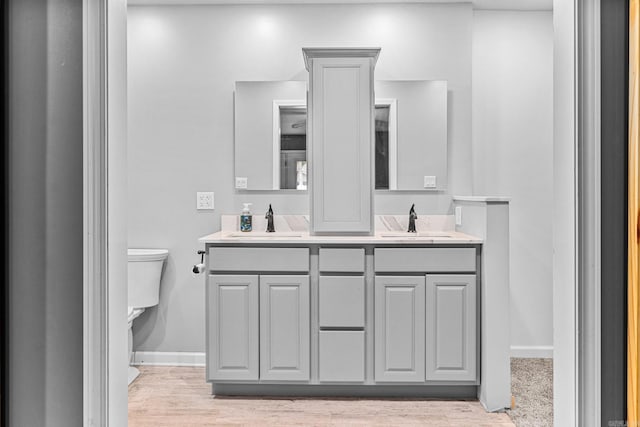 bathroom featuring vanity, toilet, and wood-type flooring