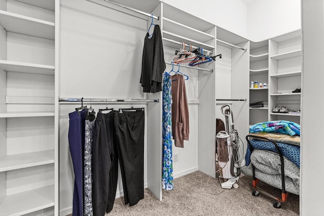 spacious closet with light colored carpet